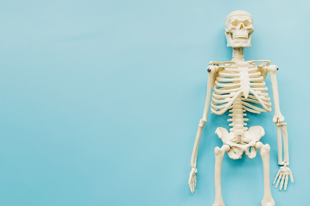 Des connaissances en anatomie sont requises pour devenir ostéopathe